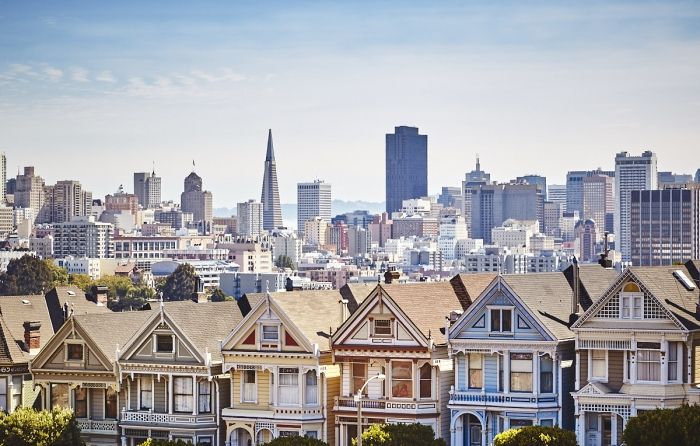 Painted Ladies