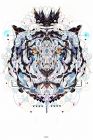 Tigre - YoAz