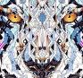 Tigre - YoAz