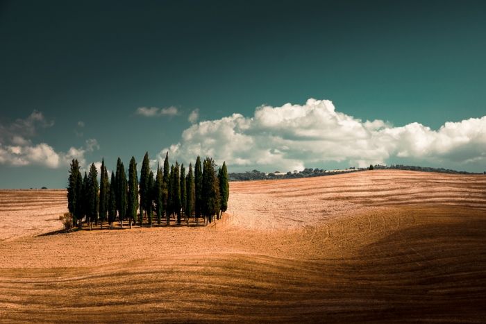 Val d'Orcia