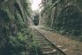 La petite ceinture - 02