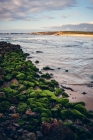 Praia da Bordeira