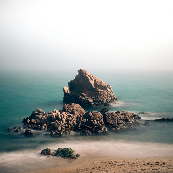 Misty day