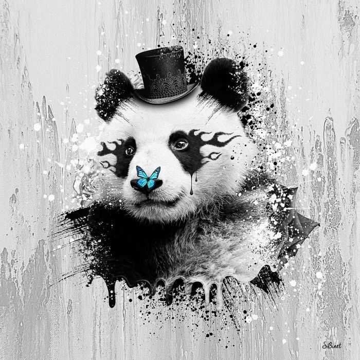 Panda