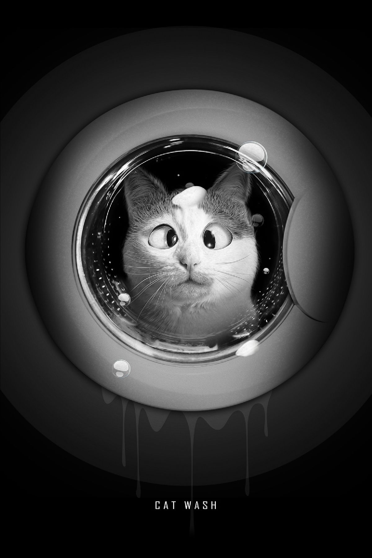 Кошка и стиральная машина r34. Wash Cat. Cat washing