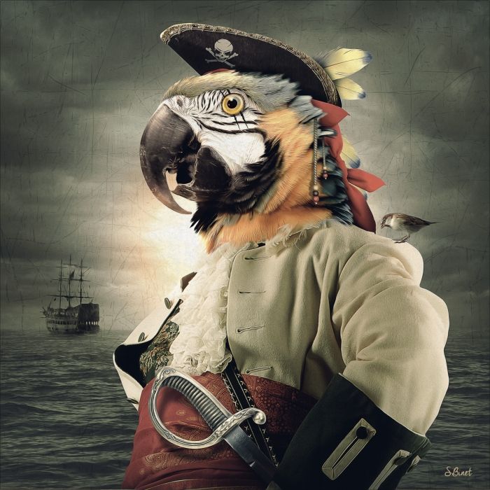 Captain Coco