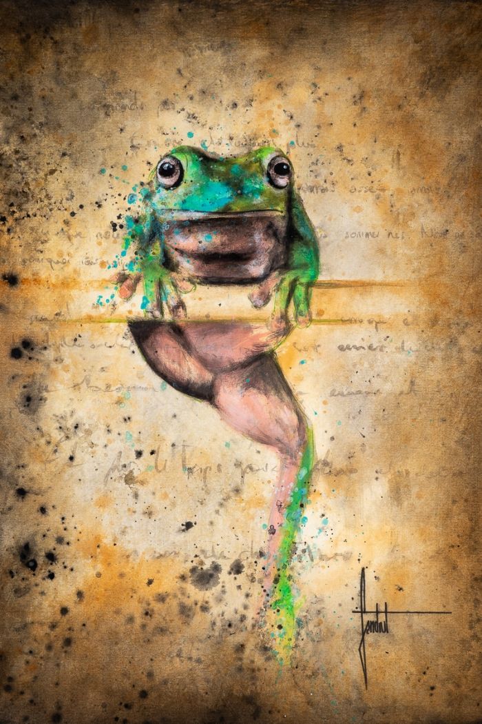 Frog1