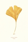 Ginkgo