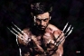Wolverine - Mosaic