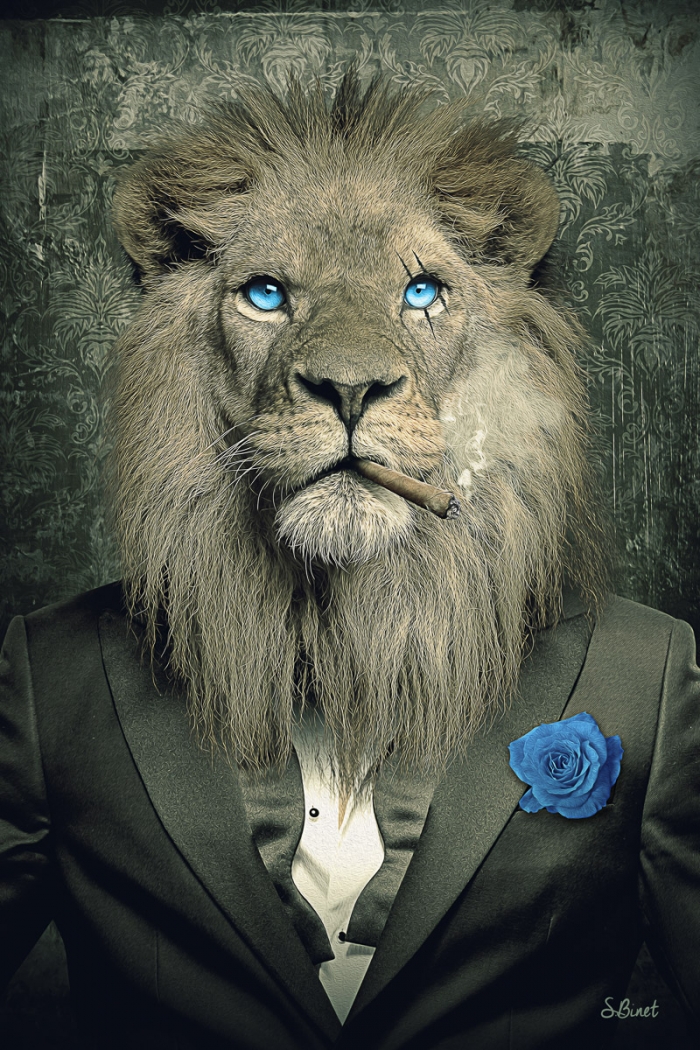 Lion Mafia Bleu