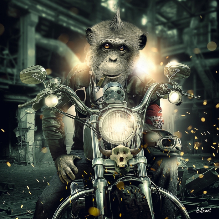 Gorille Moto