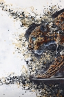 Superposition - Leopard
