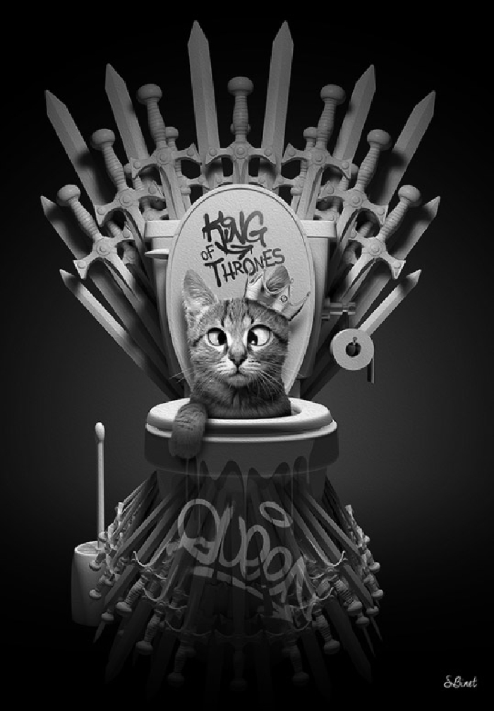 Cat Of Thrones