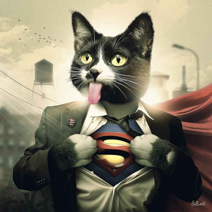 Super Cat