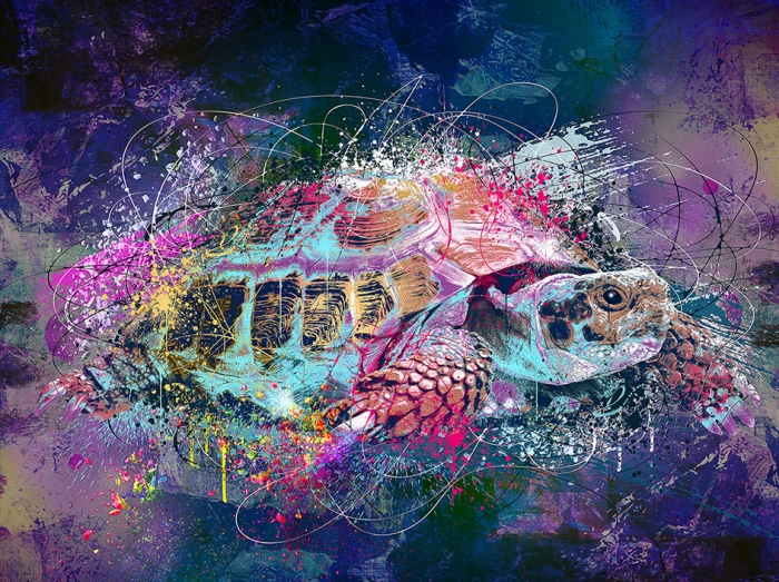 Tortue 2
