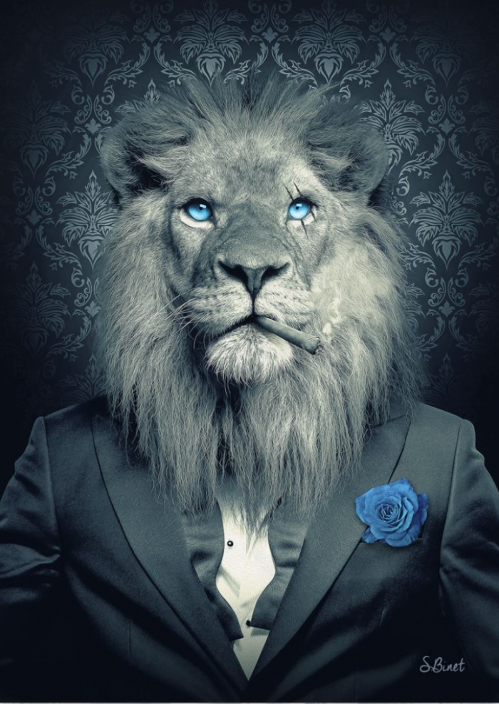Lion Mafia Fashion Bleu 2