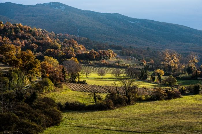 Vallon provençal