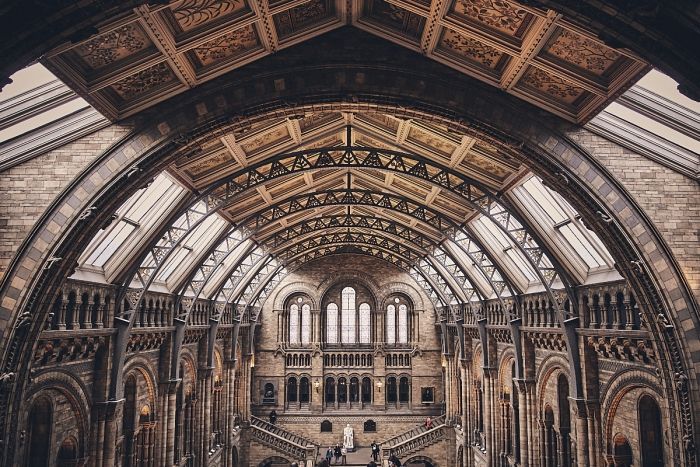 Musée d'histoire naturelle