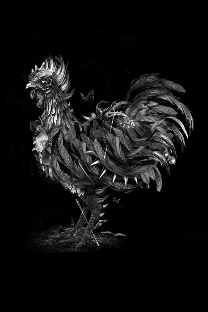 Ayam Cemani